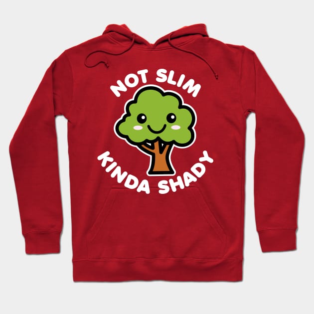 Not Slim Kinda Shady Hoodie by DetourShirts